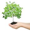 17905234-money-tree-isolated.jpg