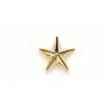 lapel-badge-gold-star.jpg