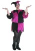 plus-size-medieval-jester-costume.jpg