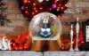 CCFC Snow Globe.gif