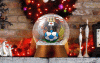 CCFC-Snow-Globe-Anim 1.gif