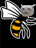 wasps.png