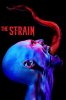 The strain.jpg