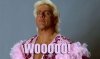 ric-flair-woo-590x350.jpg