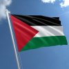 palestine-flag-large__07656.1626160807.jpg