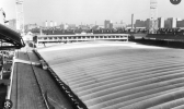 Filbert Street - Plastic tent.png