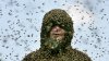 ___ bees kill as many people as terrorists each year in Britain_ Picture.jpg