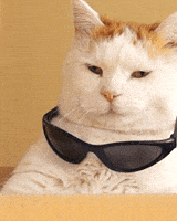 dank GIF dank GIF
