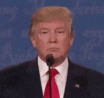 Donald Trump GIF by Election 2016 Donald Trump GIF by Election 2016