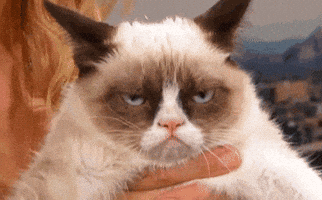 Grumpy Cat Annoyed Face GIF Grumpy Cat Annoyed Face GIF