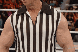 vince mcmahon wwe GIF vince mcmahon wwe GIF