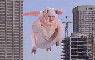 Kids In The Hall Pig GIF by CBC Kids In The Hall Pig GIF by CBC