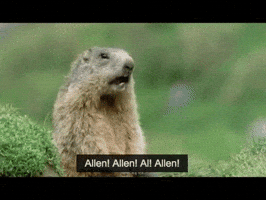 allen GIF allen GIF